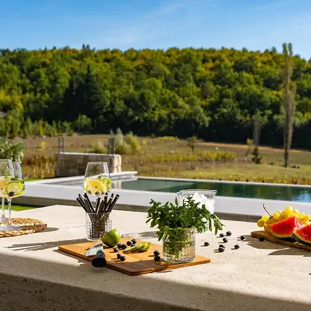 Luxury Depollo Villa Donji Vinjani