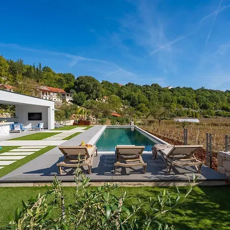 Villa Luxury Depollo Donji Vinjani