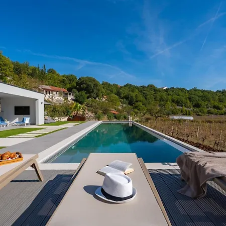 Luxury Depollo Villa Donji Vinjani