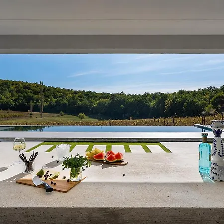 Villa Luxury Depollo Donji Vinjani